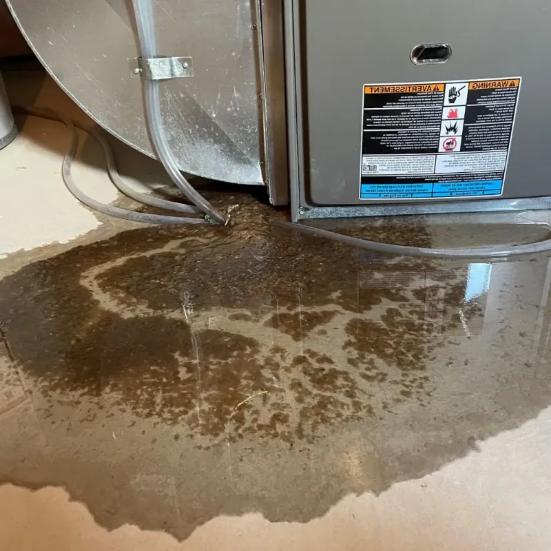 Pipe Burst and Leak Restoration in Lower Allen, PA